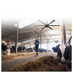 Cool Boss Industrial Overhead Fan - 16.5' Fan Diameter 17 Cool Boss Industrial Overhead Fan - 16.5' Fan Diameter -Air Filtration Store cb11hvls 7 1