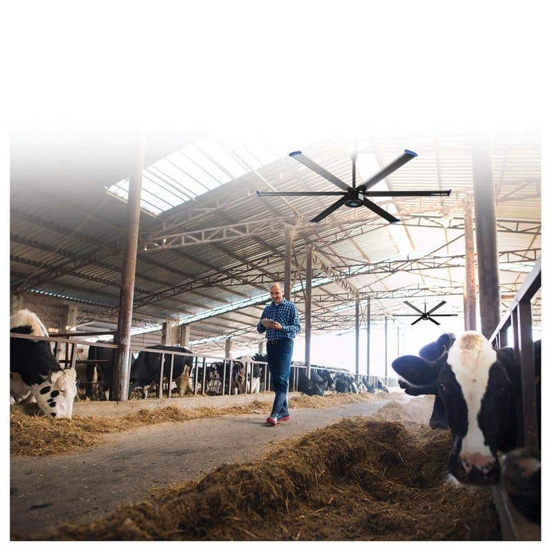 Cool Boss Industrial Overhead Fan - 24' Fan Diameter 9 Cool Boss Industrial Overhead Fan - 24' Fan Diameter - Image 9